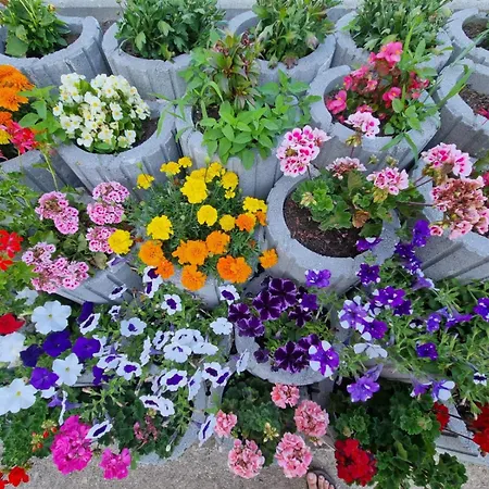 Appartement Has Traisen