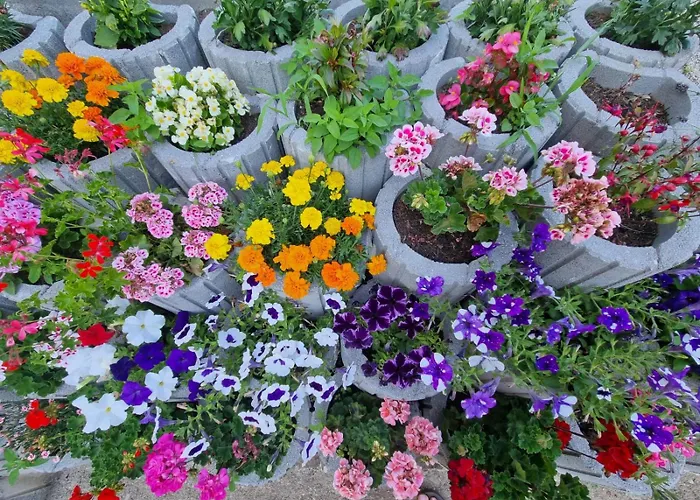 Apartment Has Traisen